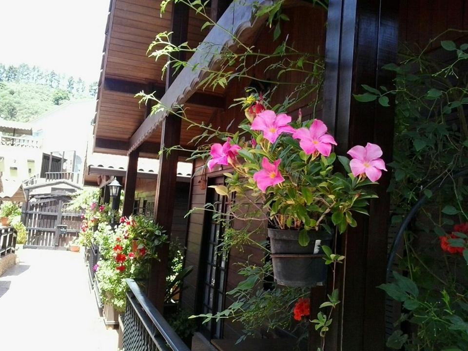 Cabanas Valle Verde Moya  エクステリア 写真